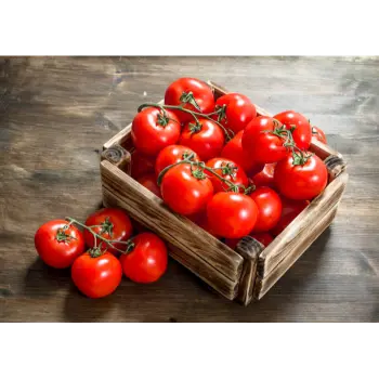 Tomato (2)-8983255-38386.webp